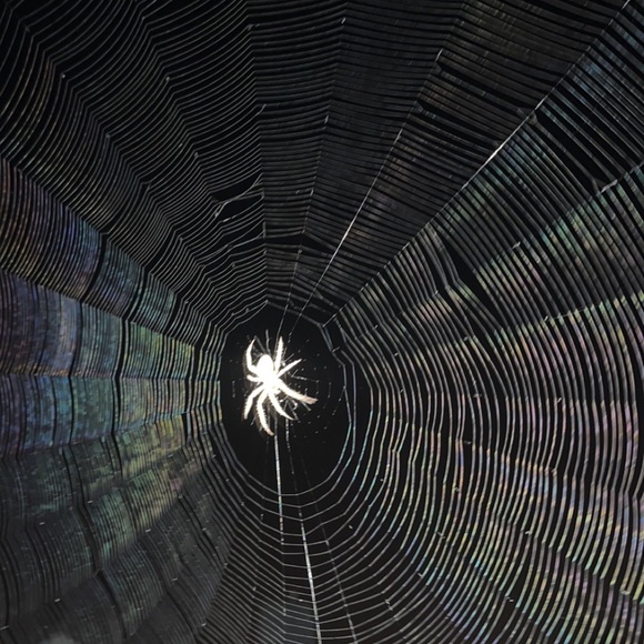 Meet your Posher, James - Picture 1 of 1